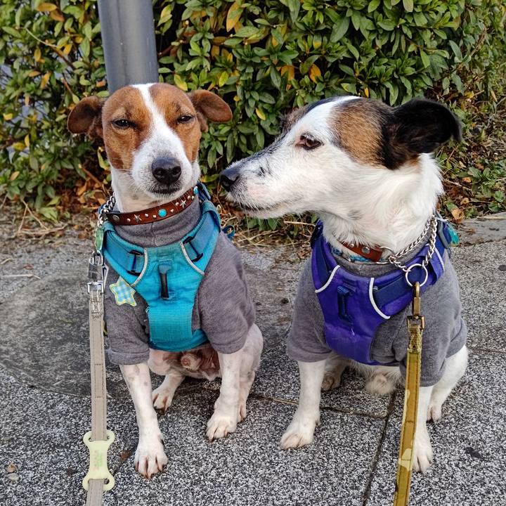 60748cc5 ed77 451e 8e1b 077e401de39a 1637274428285