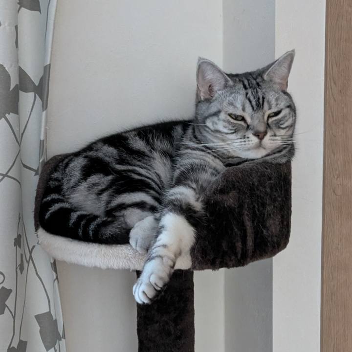 6074a970 b1d8 42b2 9a76 64d1251e160c 1744152310411