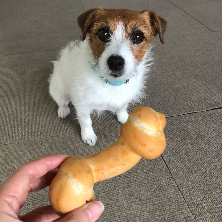 6074ae40 5d47 427a 8d05 fb57a57e8c0a 1526193580463