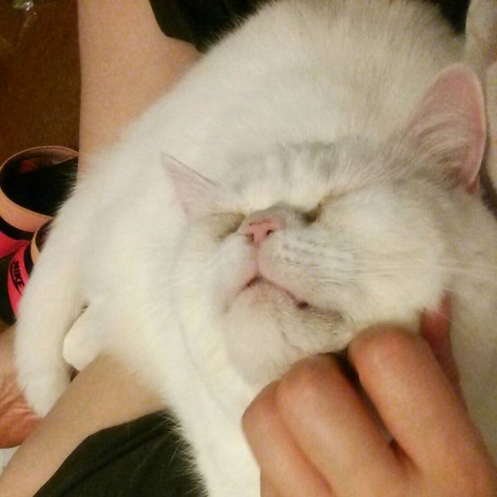 6074fdaf 9a7b 43d8 bc95 375dc30a78a1 1586651198074