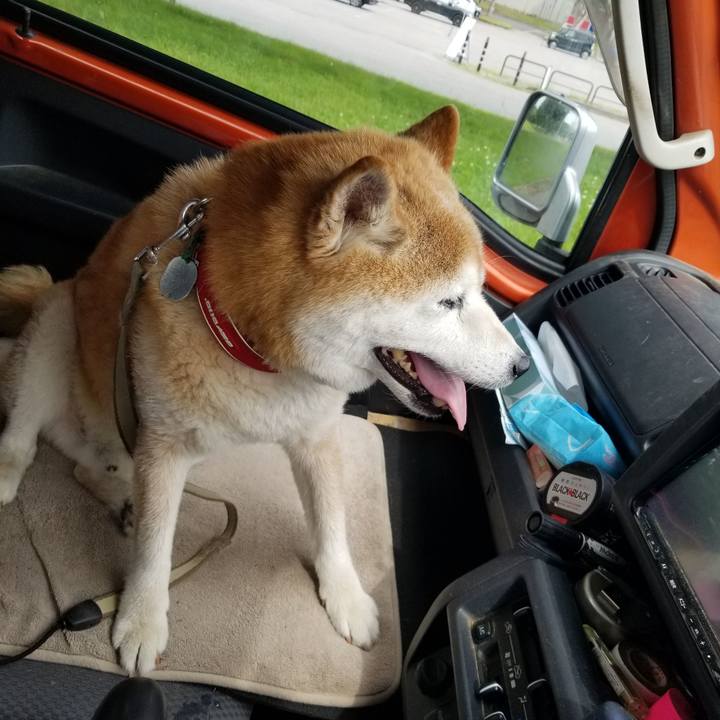 60750028 bbd8 471d 9a2e 3b1943afe149 1719035012526