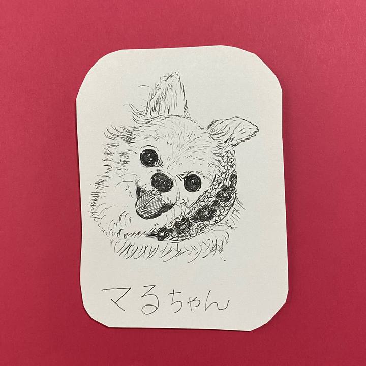 607500f0 664d 46f1 afbe 2e22f0a5d1de 1619574335489