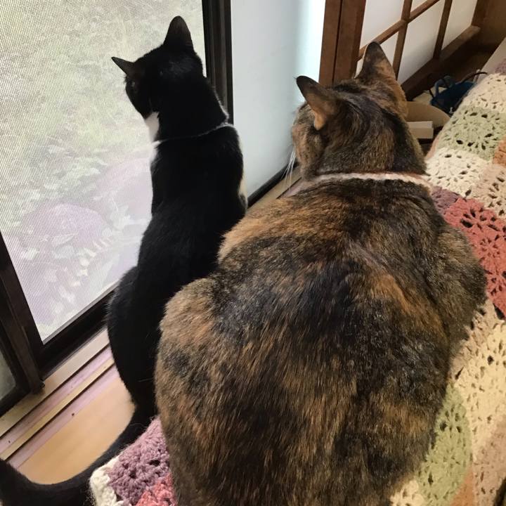 6075030b 7592 46bb 8b05 c95acc7a9821 1719306698515