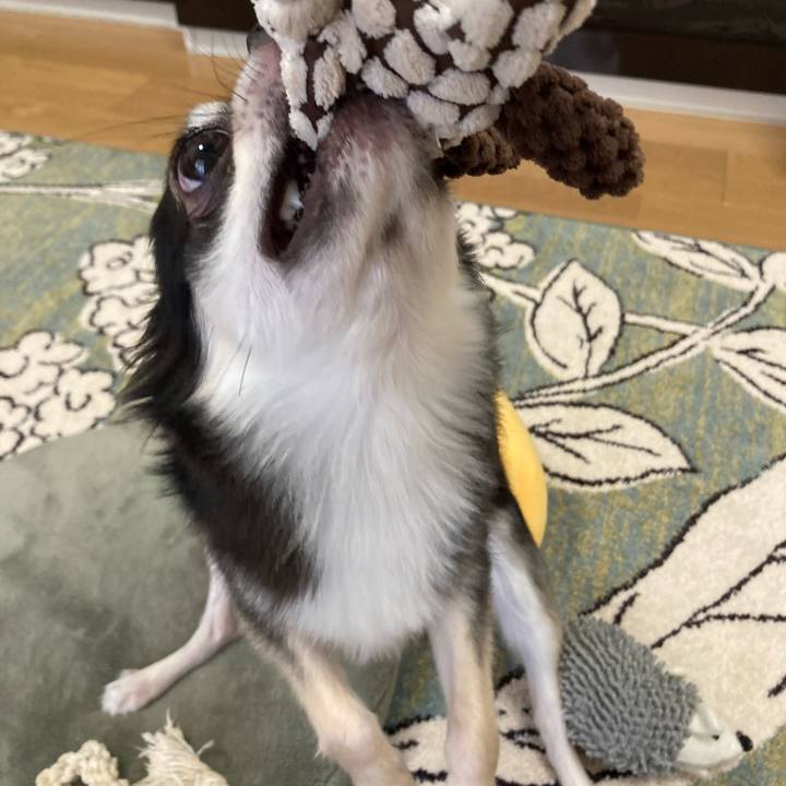 60751f5e 09a5 4e74 9658 5b5d00ae9054 1627167633758