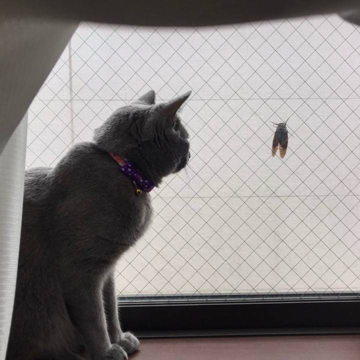 607539ca 723e 4dbb 8e5f 81cae45e61c1 1629269919462