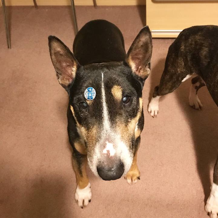 60754af9 a74f 43b8 ab0e 4c98c90a6d05 1520587119569