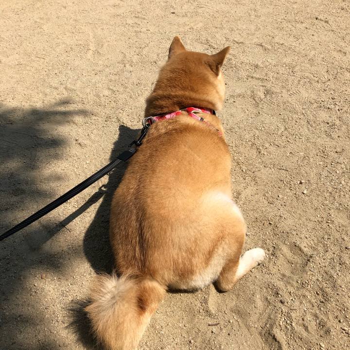 60756eb3 d9f7 4526 9f06 93d272835368 1557756356432