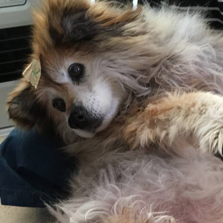 6075867a 7568 405a bcab 9929137584de 1575925140963