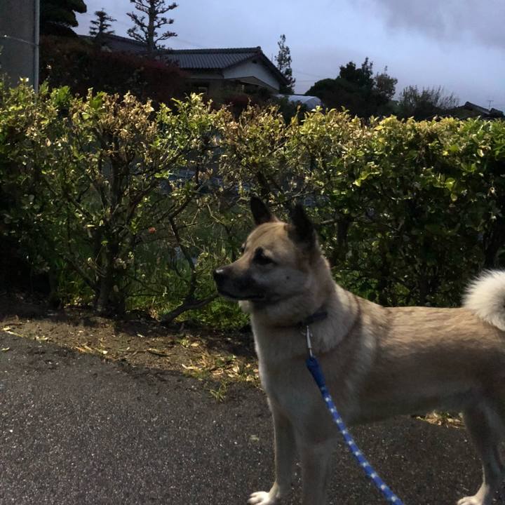 60759649 3a0a 4f4a a974 96e3176190db 1618572248639