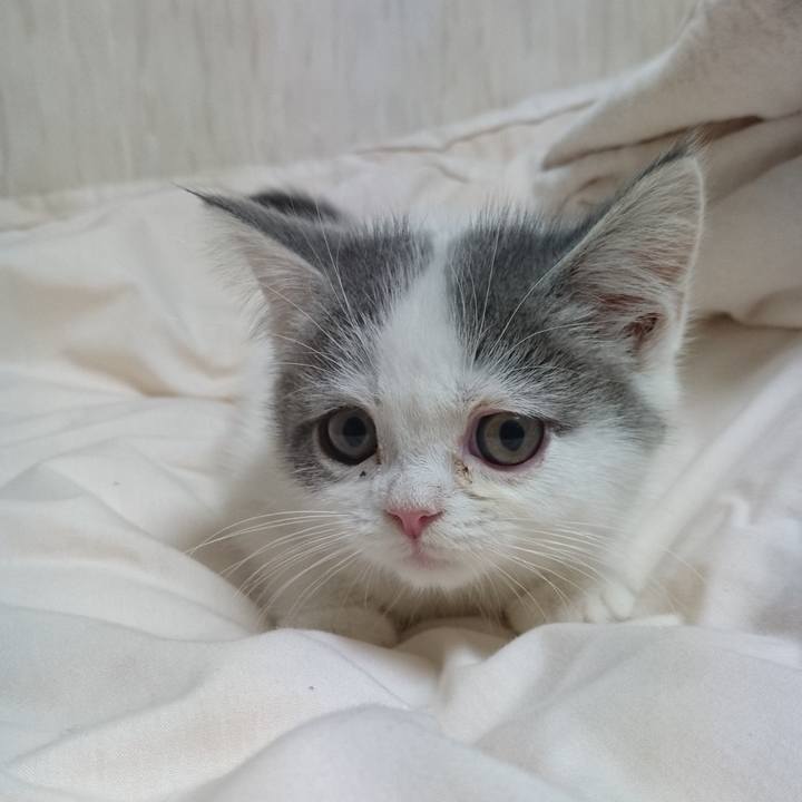 6075c3f5 07ee 4076 b59e dcca44a22979 1629207127203