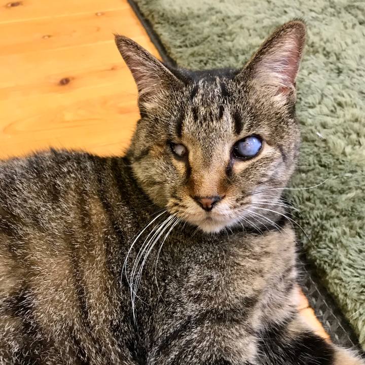 6075ffa1 6807 4aa7 b53a 33334c63e520 1590547961534