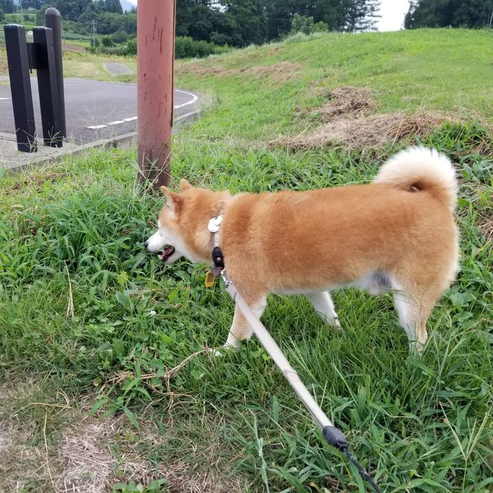 607632af 89fd 47db a3ca d38e8ef29209 1630311674353