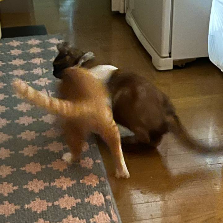 60764ca9 a385 4d06 9ccb 5141ada10ef3 1668200186402