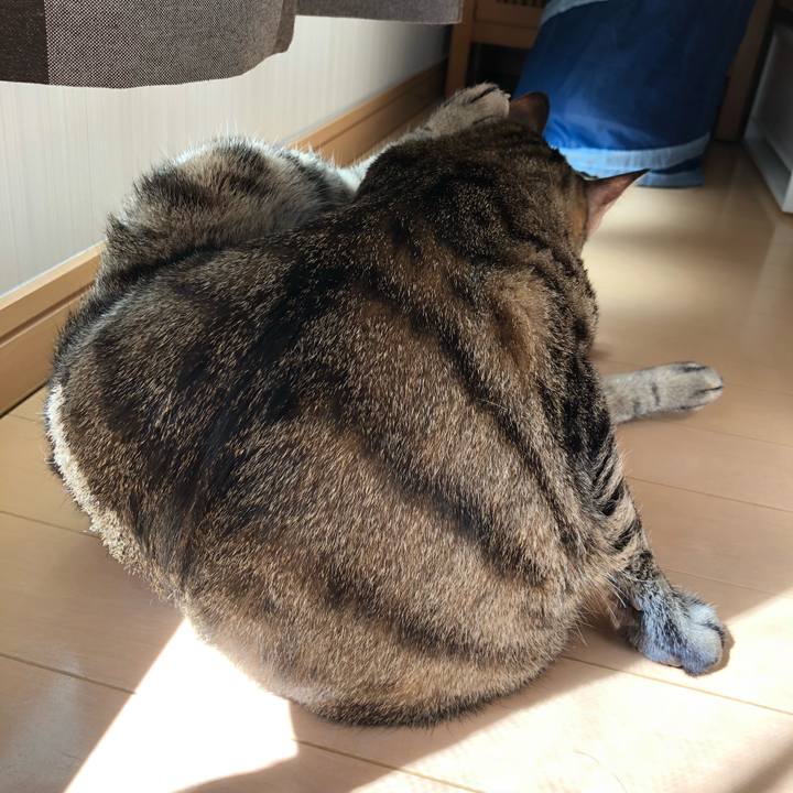 607681d5 6431 498c bcc0 2ea2a8645c01 1538110230279