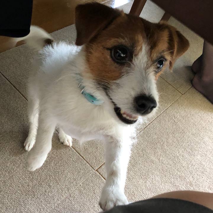 60768acc 3ec7 464c 9efd dd0058b68833 1524975063110