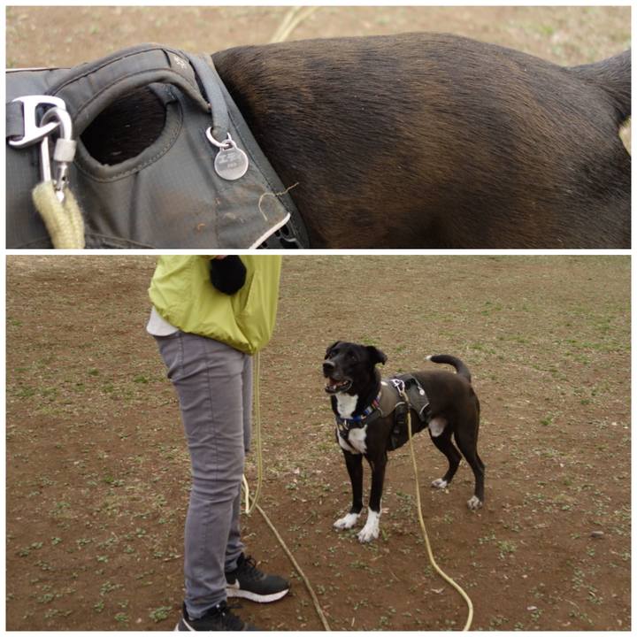 6076c051 712e 495b 8457 56816f1bf40c 1647132804125