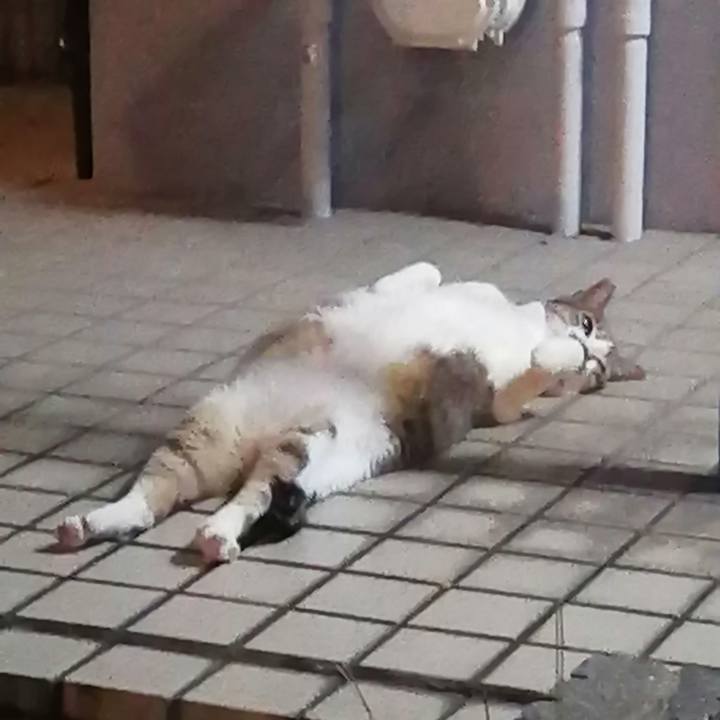 60774dfa 8a4b 48e3 b528 9df42f8b1e4e 1631268420003