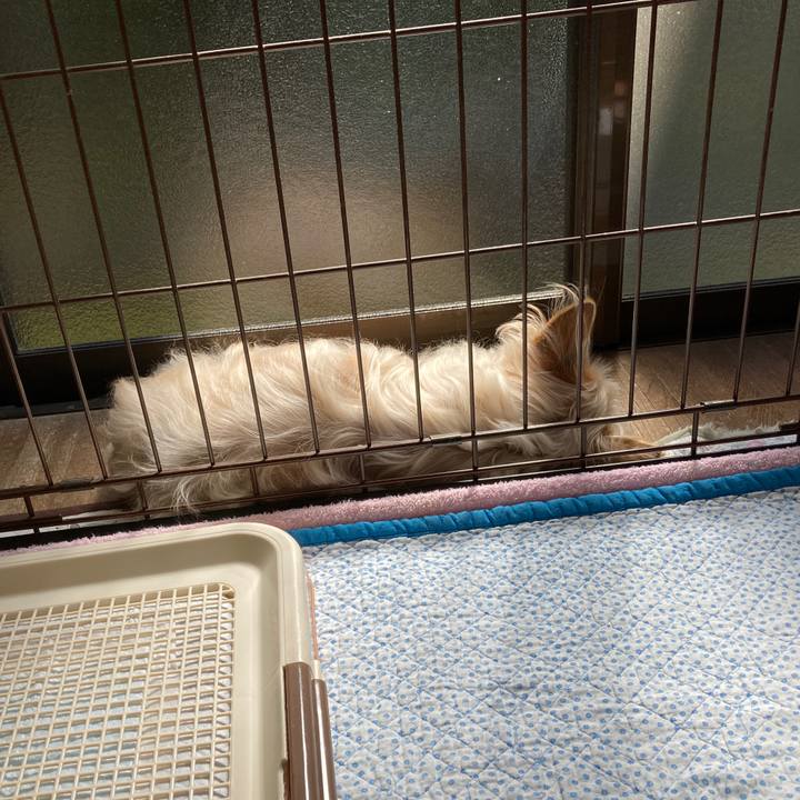 6077d15f de78 40dd 9fdb b22e5c269baf 1619482406523