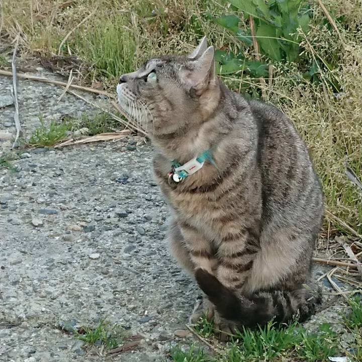 6077e4ca 8684 48e8 9e55 0f41fc2a1826 1558516625473