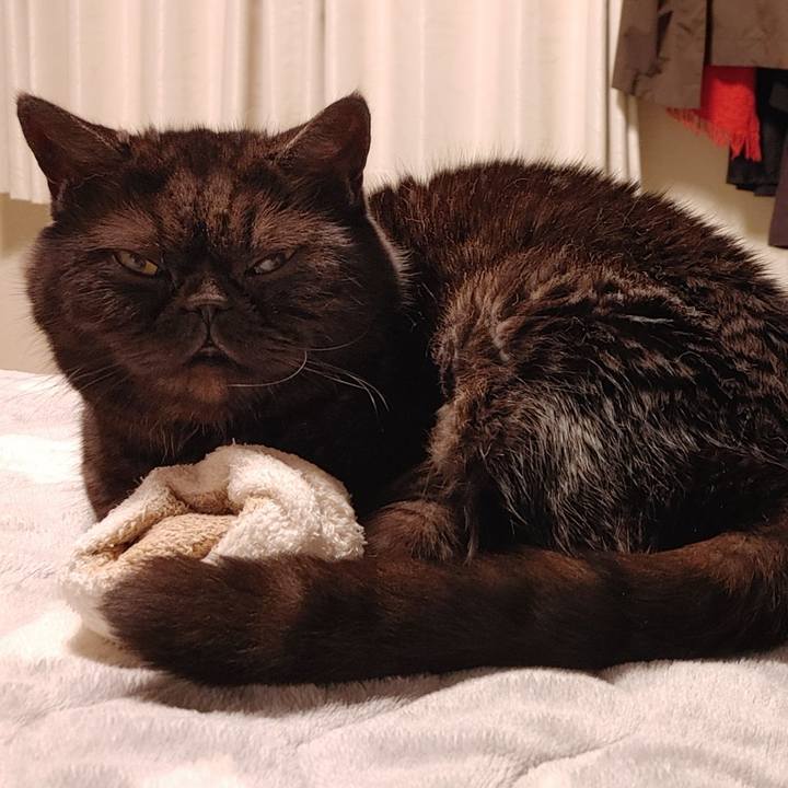 6077fff1 e5ad 4200 81dd cbdd291ec619 1648907744001