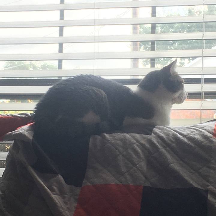 60781e98 6a19 4be9 98e8 d4b0a2ef999f 1633915334556