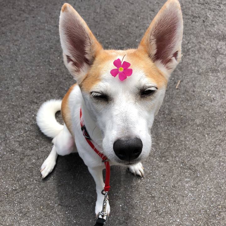 607821bb 827d 4f6c ad50 5c967cbed5c3 1603859229952