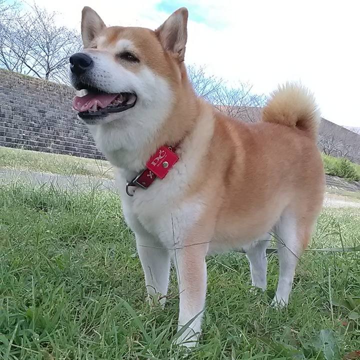 60782dfe 9cf4 4d03 8393 3981f616ba8e 1632977670913