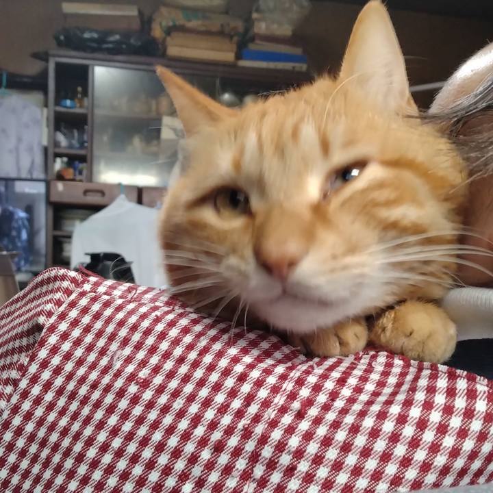 60784cf3 6b6f 4b3e b4ba 66fe00caebcd 1712650092087