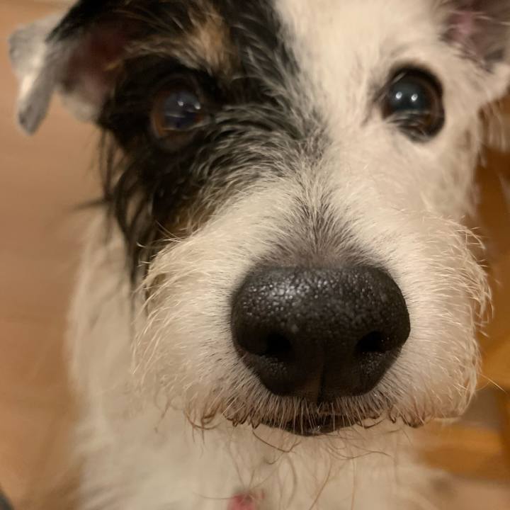 60784f40 3a09 4a1a a816 1f94c8fbd042 1696685579122