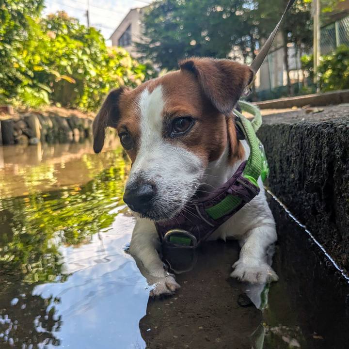 607863c8 ca77 4bf4 8edd 9999aa06091e 1722000393730