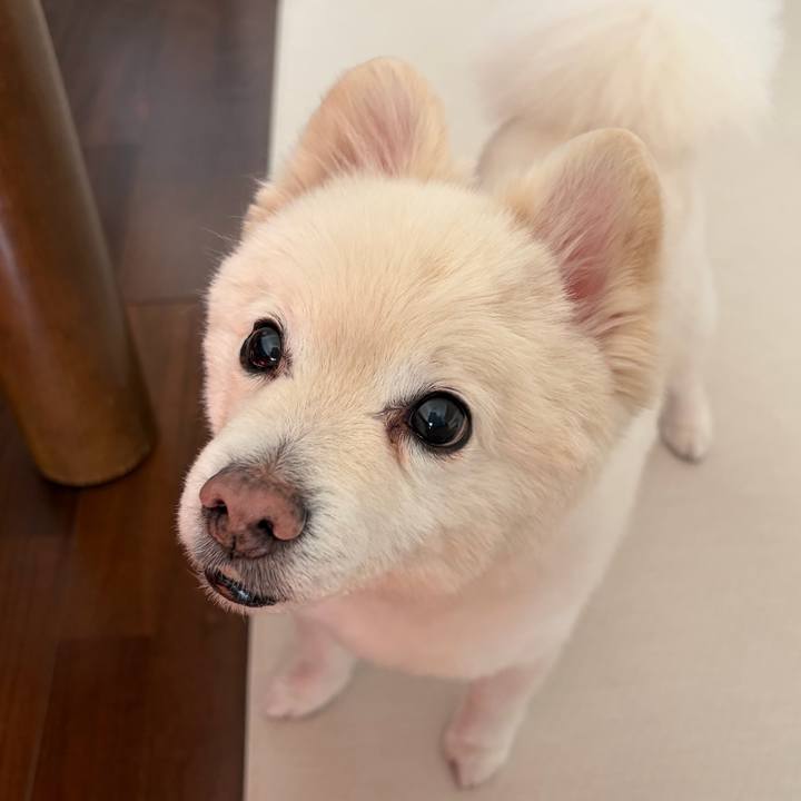 607872b9 f200 41e4 b9fb 60277b21b3a0 1772536266526