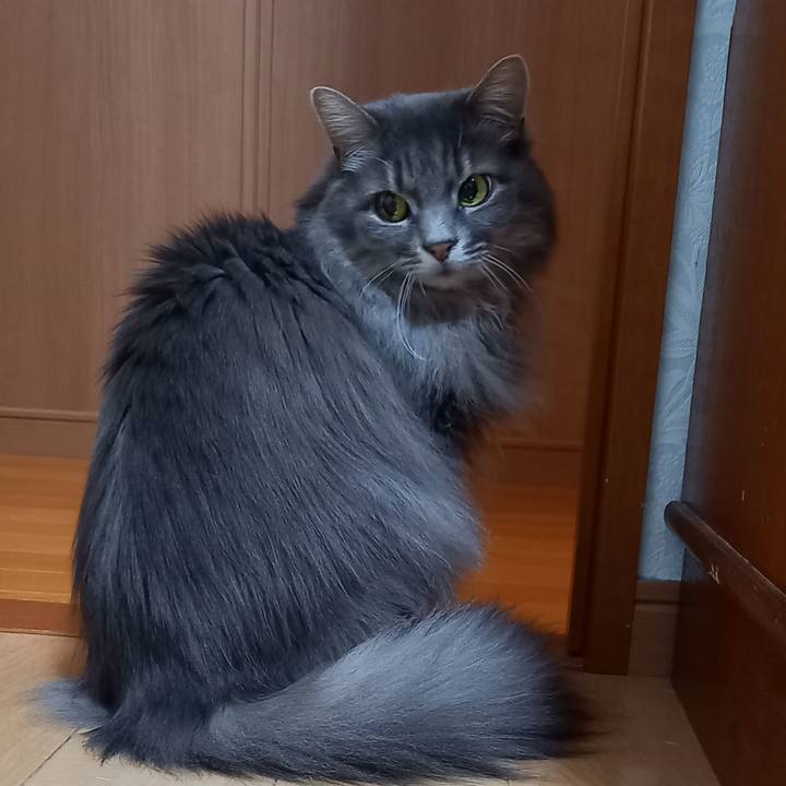 60787932 8a3a 4d88 8dce 598693cd03be 1645009411219