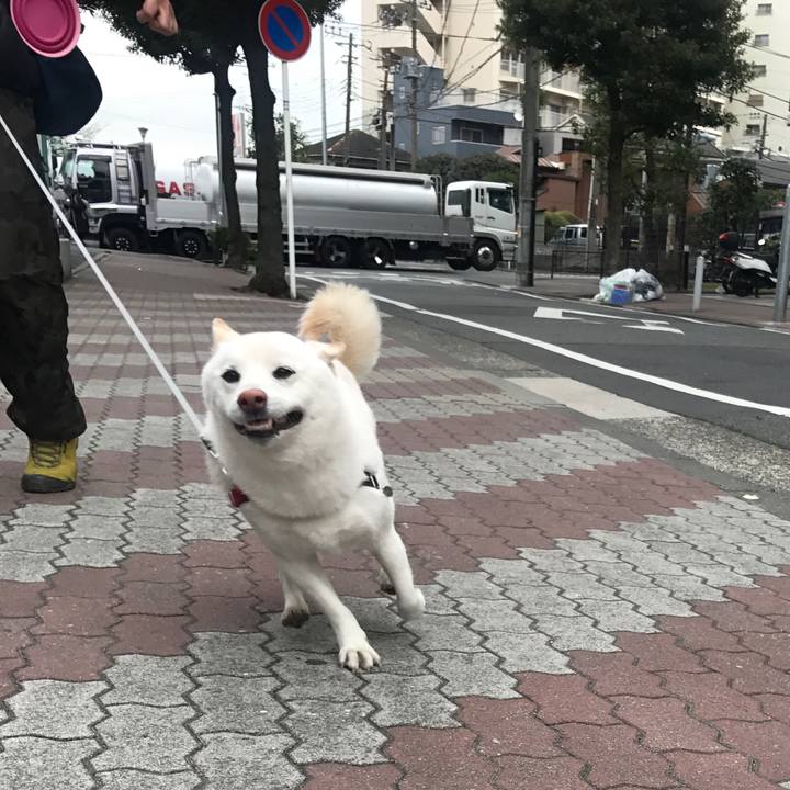 60788045 bc50 4baa 9a79 a800d0ed27f8 1515113055032