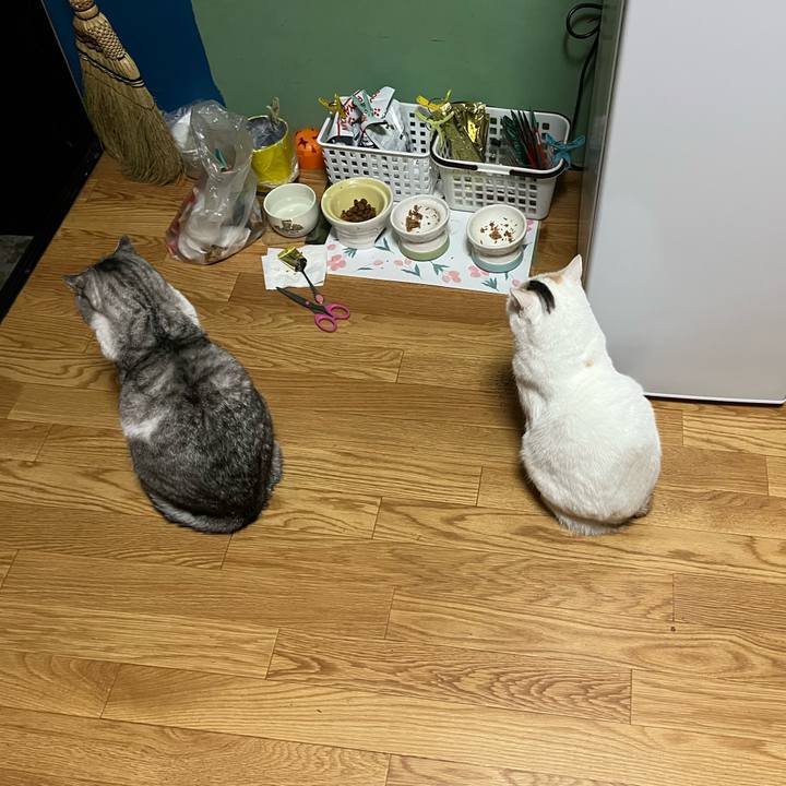 6078c3b1 eec9 47a1 9fe5 1d34837e98dc 1735041150943