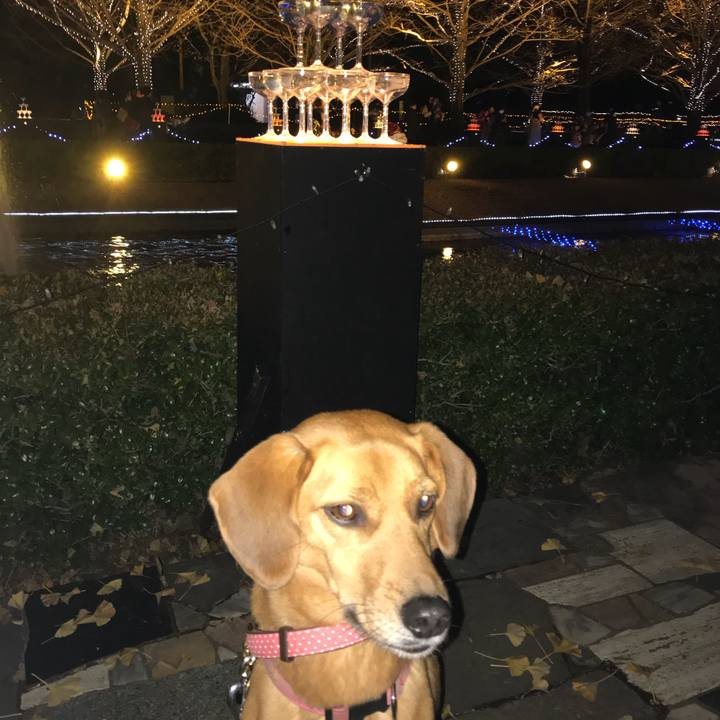 6078c5dd 4eb5 4627 92a1 98800d4711ee 1512202497706