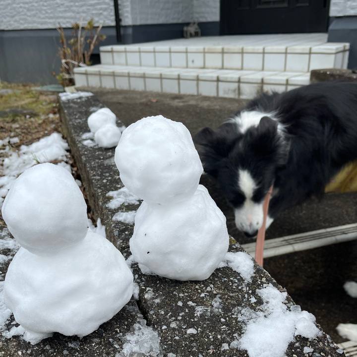 6078dc63 c654 4ed8 8fd4 b1d761e0214a 1764813630744