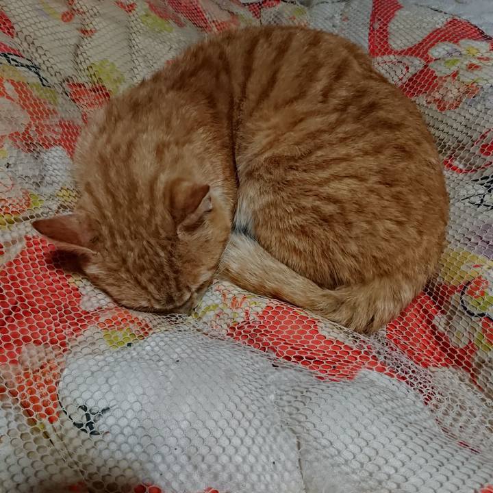 6078e05b 4acb 4b13 bf8b 4f06b3567498 1554210616630