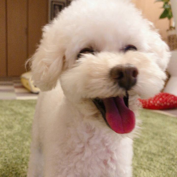 6078f178 b5af 407b 9f98 c9816f67c4aa 1599313164860