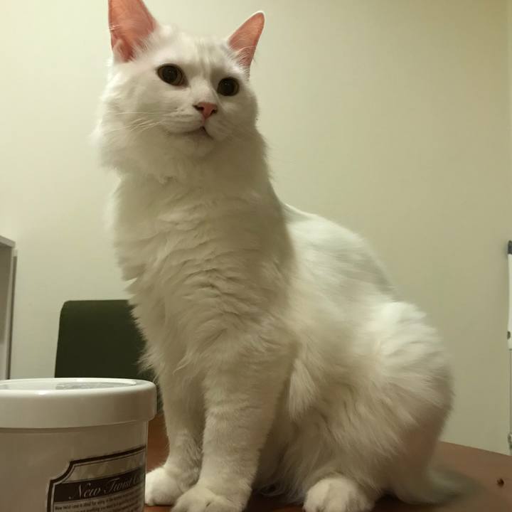 6079086a cbbd 4b69 a698 5dbdfde810c7 1522900393148