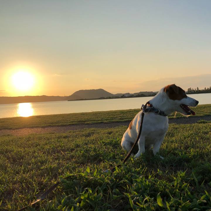 60791750 7cd1 45eb 8723 7053edc8f66d 1537087627856