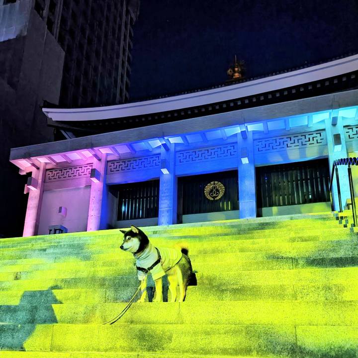 6079430e fb57 42c7 a823 618b1576f18e 1764431385699