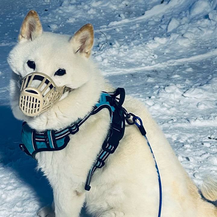 607966a7 c530 4eca b820 ea5a1857875a 1737238885574