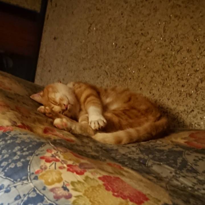 60798409 59bf 465d 837a c8f624156e64 1599827104730