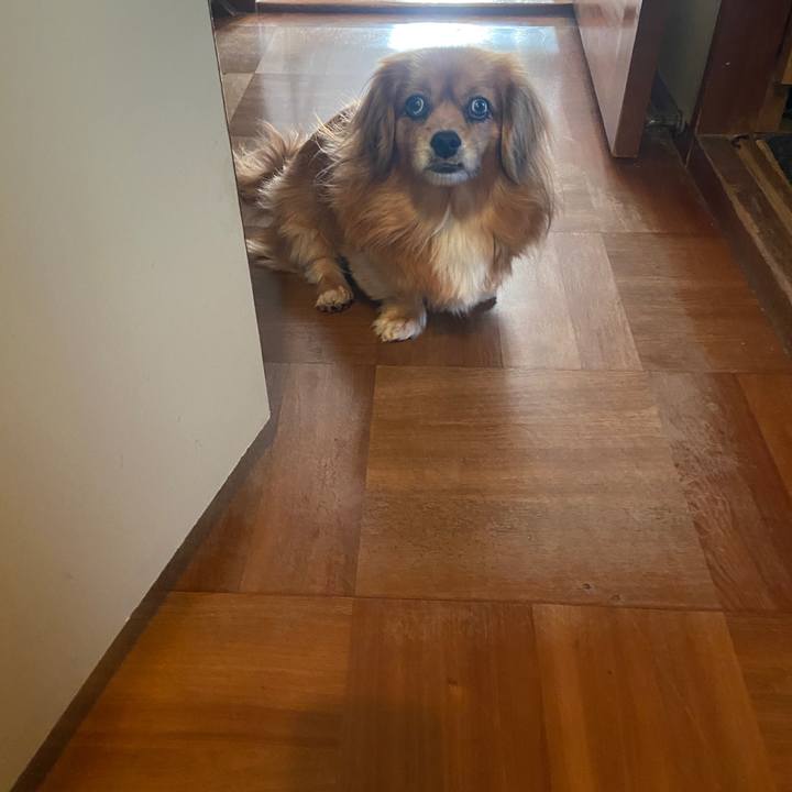 60798811 62f2 47f8 bd9b c51fc289a21f 1670029536446