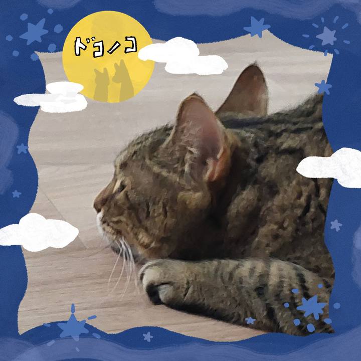 6079c01b f080 41ae 894d 0f0d2b8a31aa 1726956018416