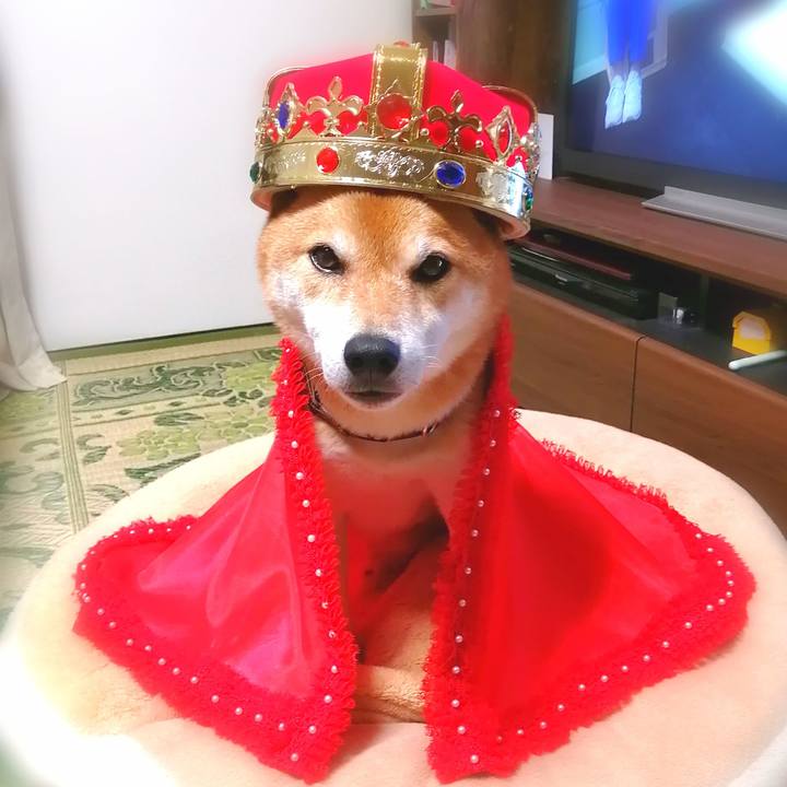 607a3ea7 7f9b 43fd b98b 4650c51e6bee 1666010772525