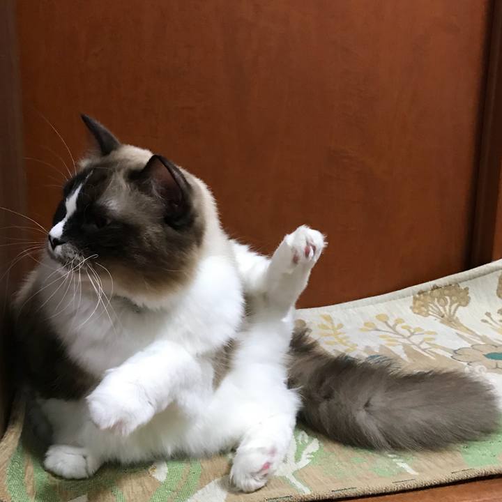 607a8bda c960 4d2c 86d1 624e6ff3358c 1510578461315