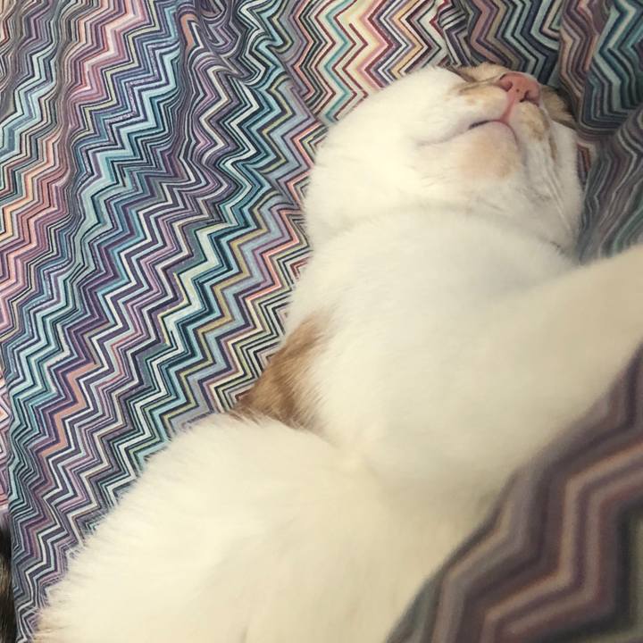 607ac49d 8292 428d b819 b5d4dc0c0bf0 1582338055515