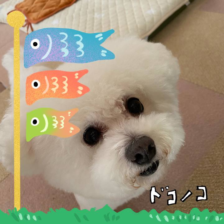 607b15de 7bb7 4b5a 8234 f6af58565edf 1714882059288