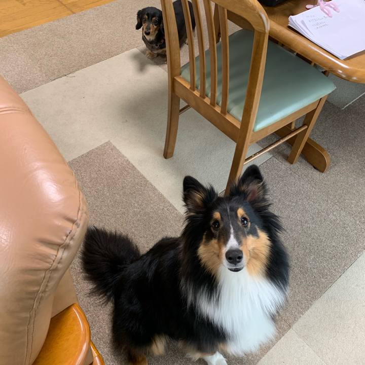 607b1791 3d04 43a5 9e0e 93a02060749b 1553126116677